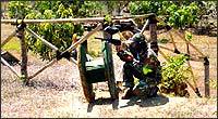 Paint Ball Games