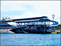 day cruise pontoon