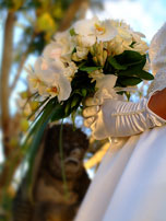 wedding-icon