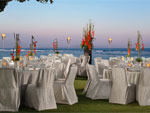 themedinner-outdoor