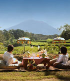 picnic-lunch