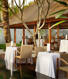 tapis-restaurant